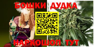 прущие грибы Ирбит